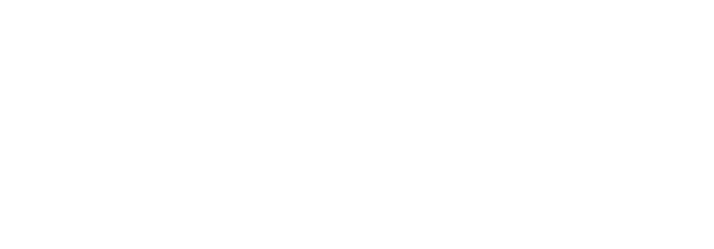 Bay-Area (1)